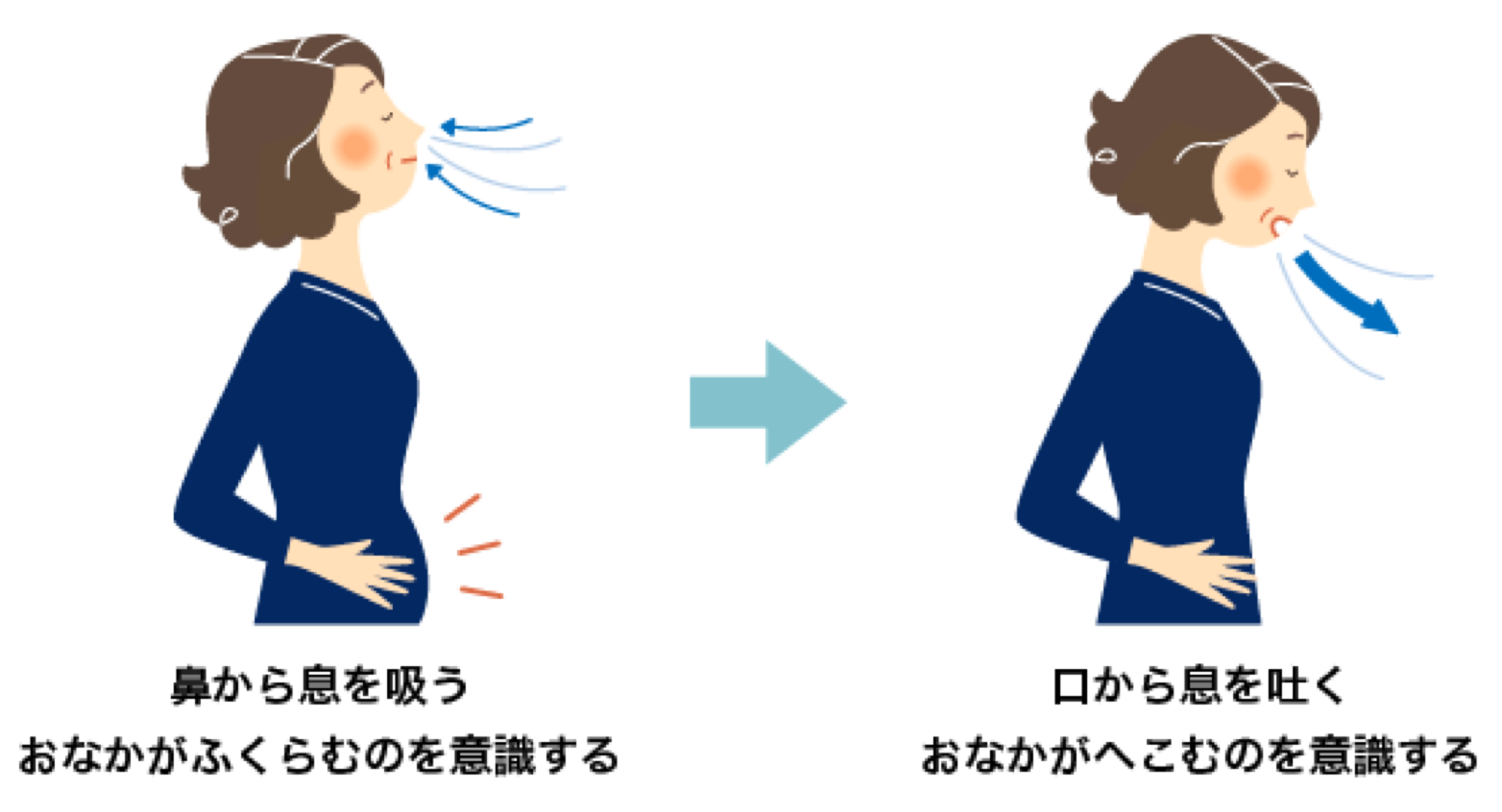 1 腹式呼吸