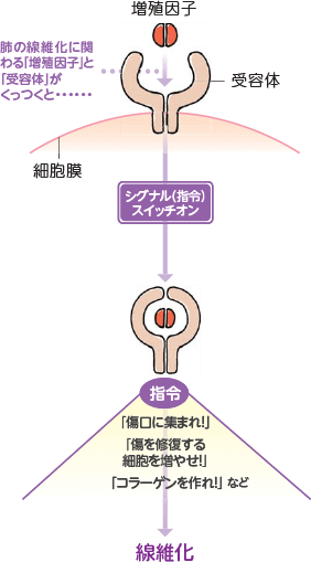 4.1.2-03-disease.png