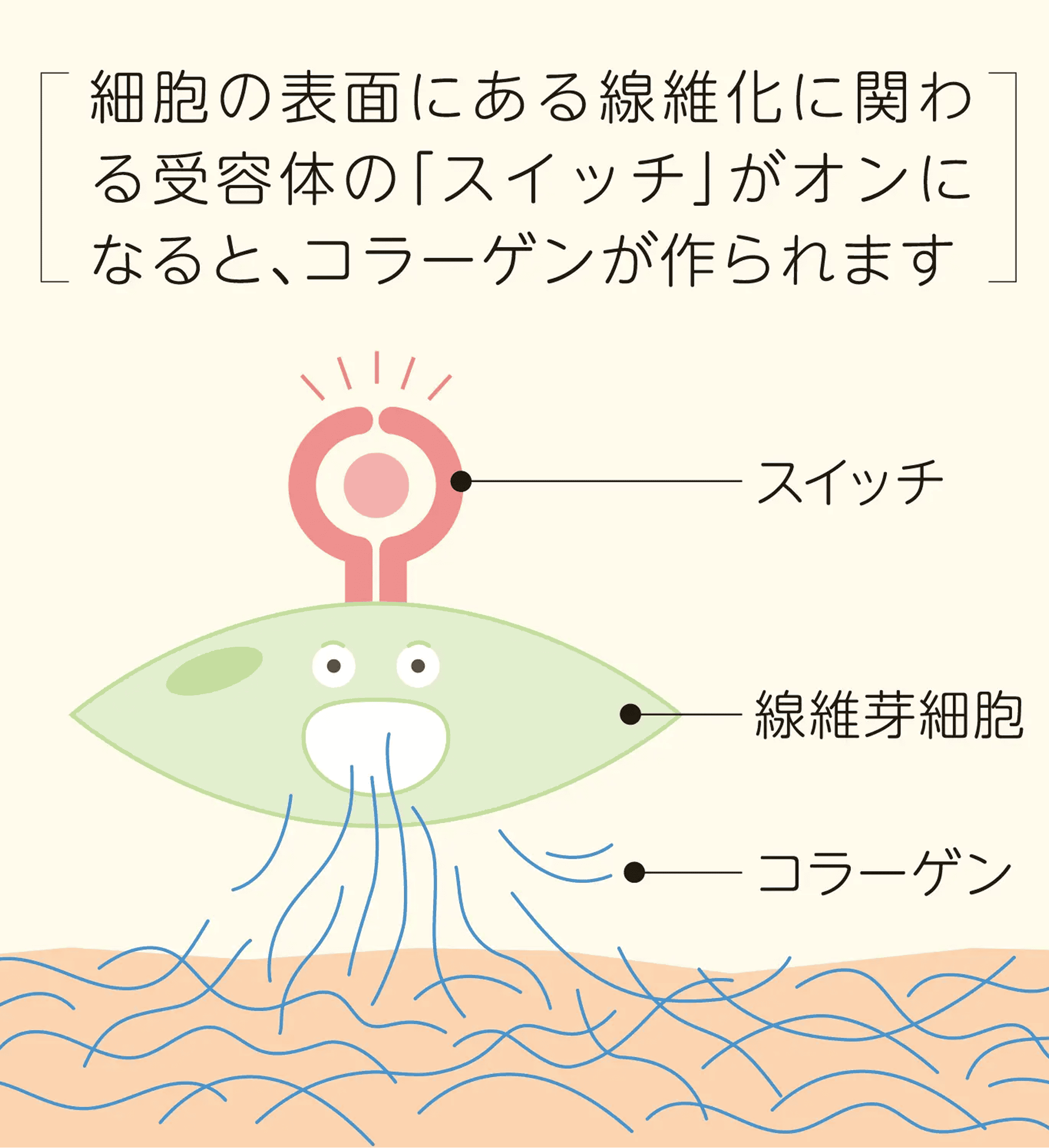 mechanism-1