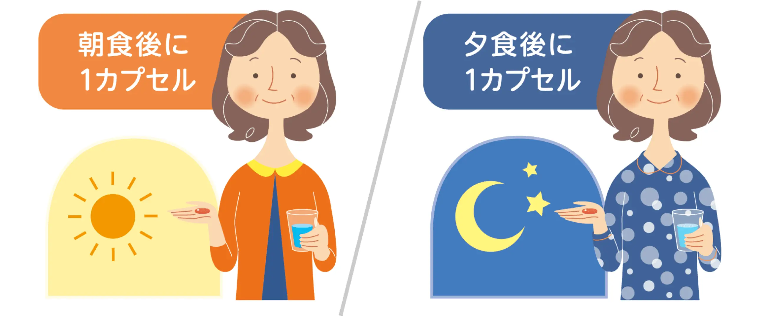    用法・用量