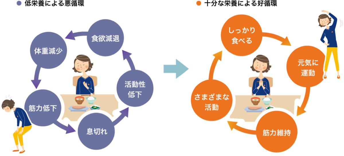 栄養バランスのよい食事