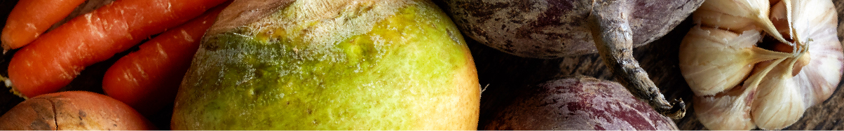 冬のレシピ | 肺 線維 症 に 関す る 総合 情報 サイ ト